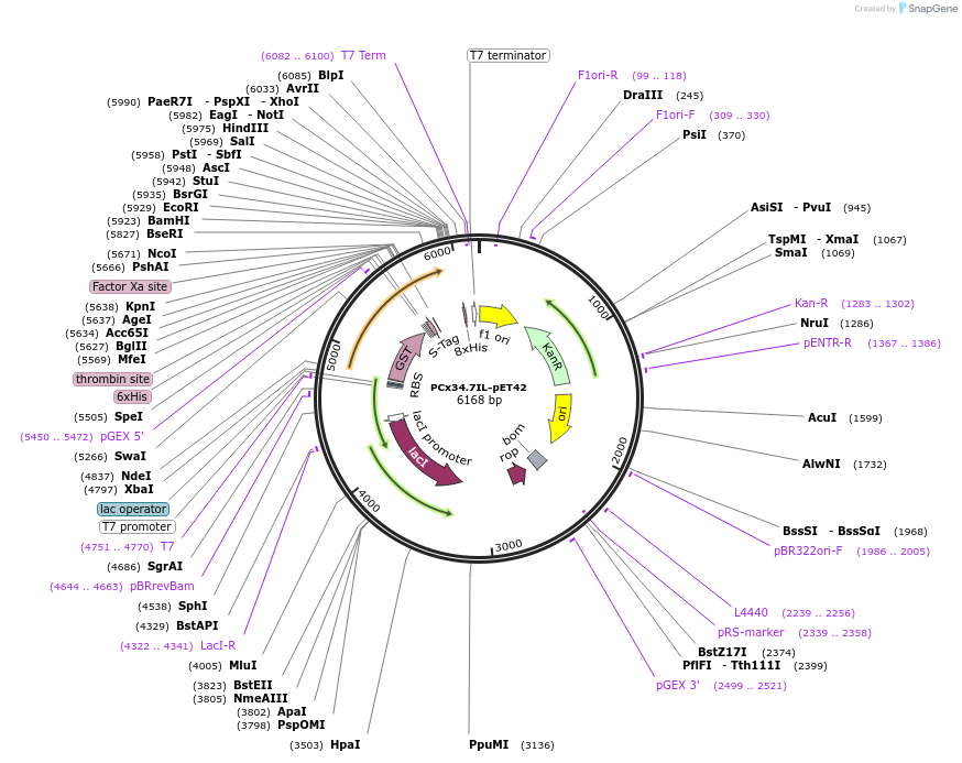 58071_map