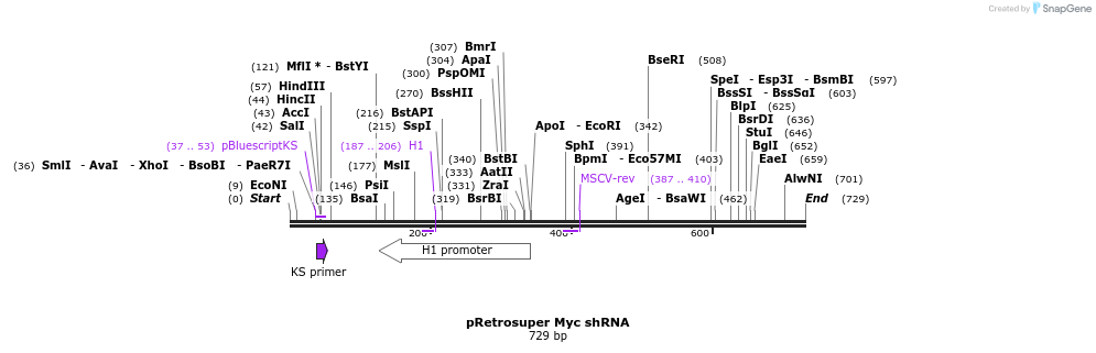 58072_map