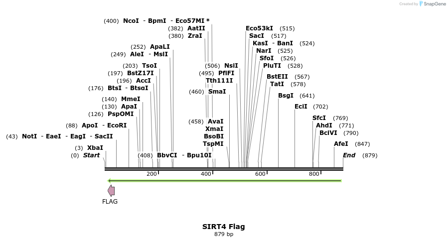58074_map