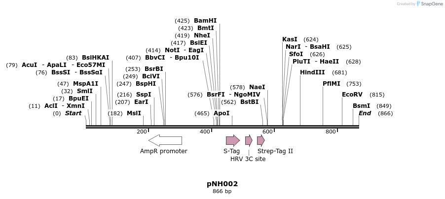 58078_map