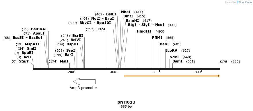 58081_map