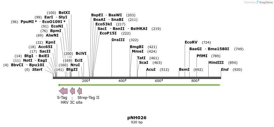 58082_map
