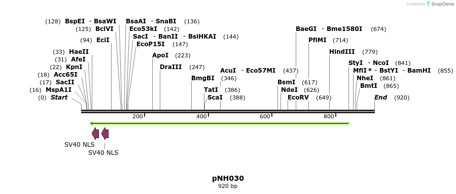 58083_map