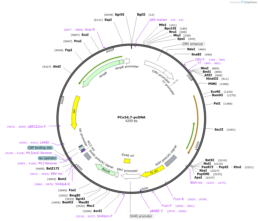 58089_map