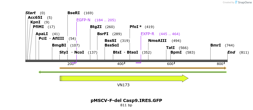 58103_map