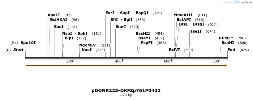 58106_map