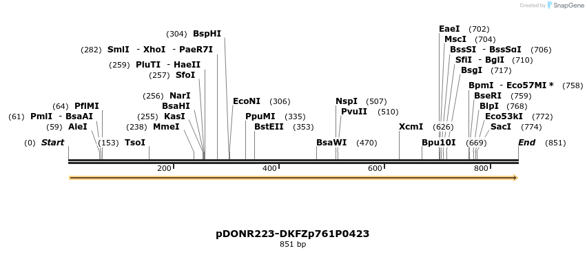 58107_map