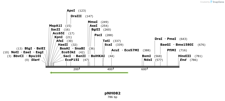 58119_map