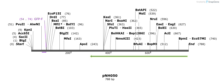58129_map