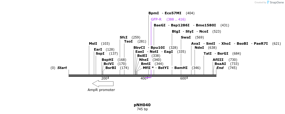 58136_map