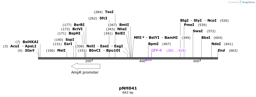 58137_map