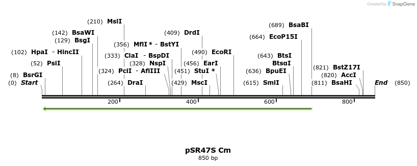 58141_map