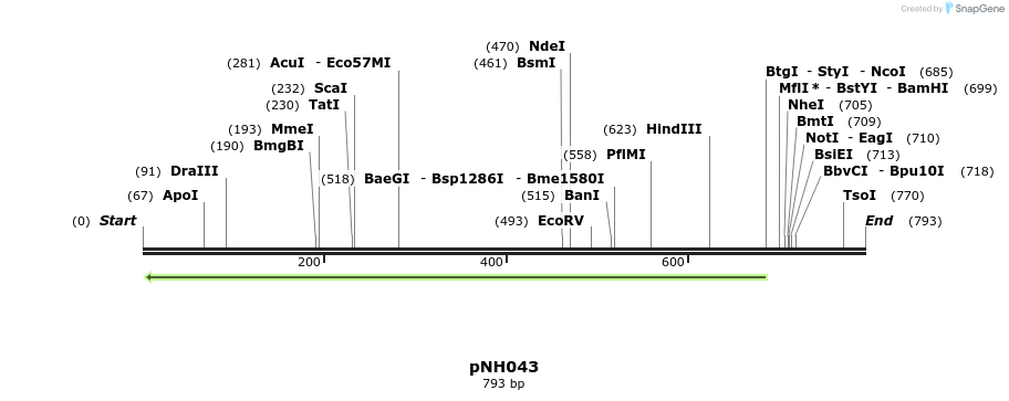 58142_map