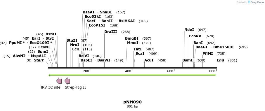 58144_map