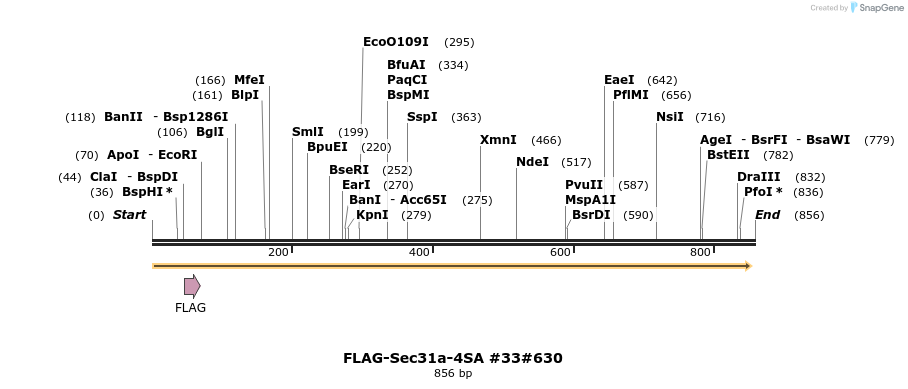 58147_map
