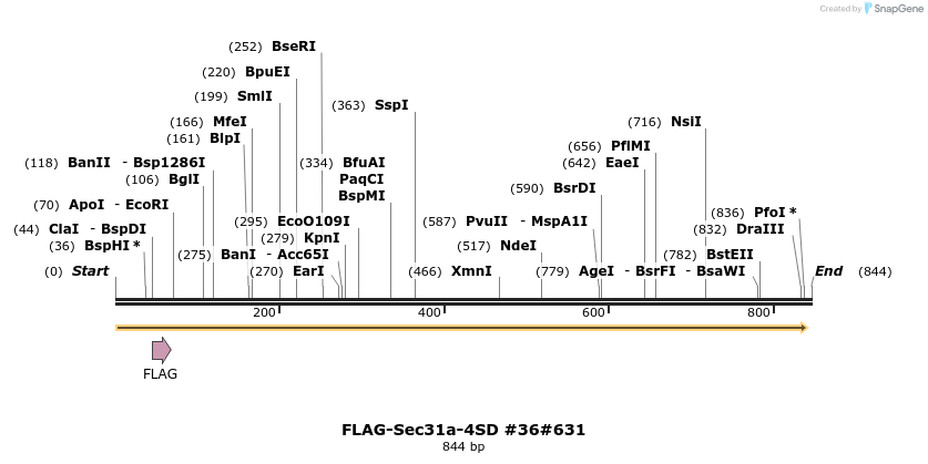 58148_map