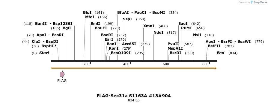 58149_map
