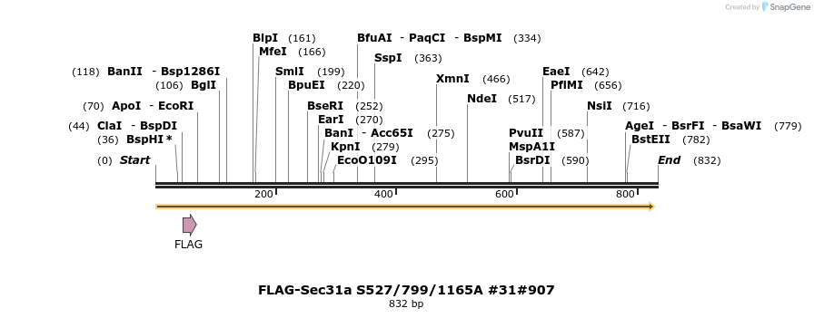 58151_map
