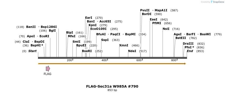 58153_map