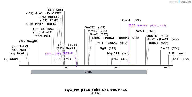 58157_map