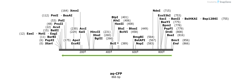 58158_map