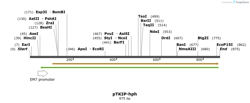 58160_map