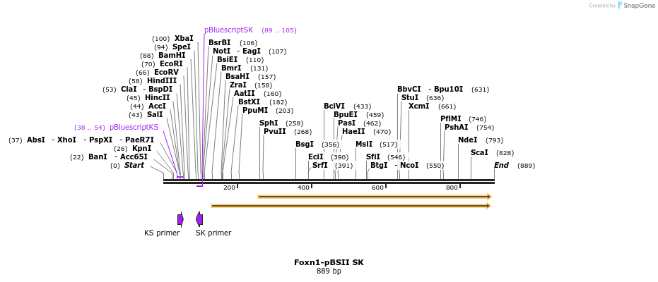 58167_map