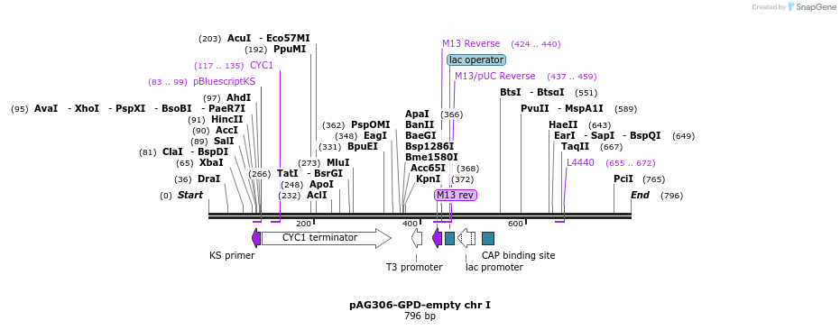 58169_map