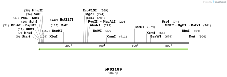 58171_map
