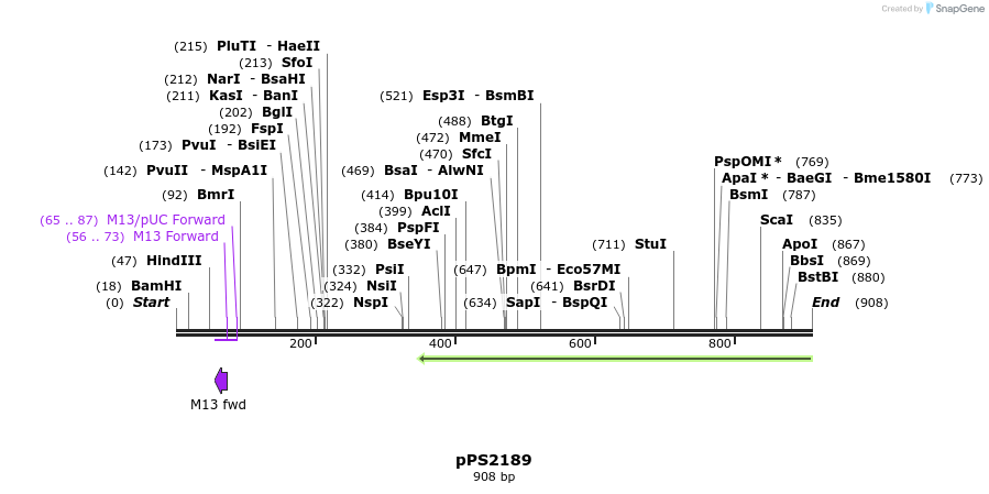 58172_map