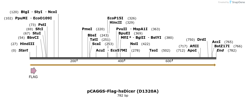 58173_map