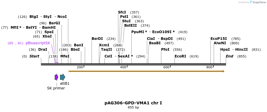 58175_map