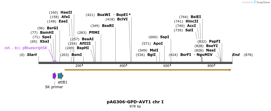 58176_map