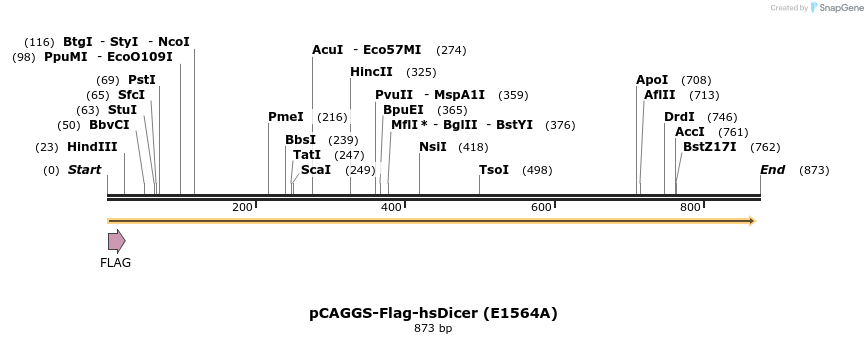 58177_map
