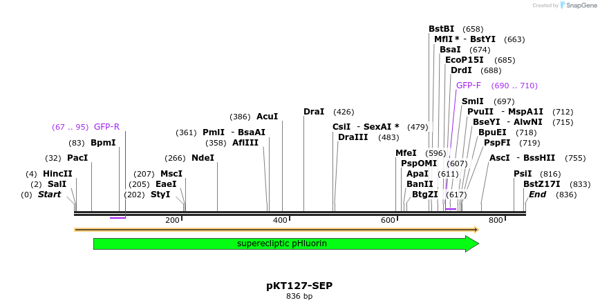 58178_map