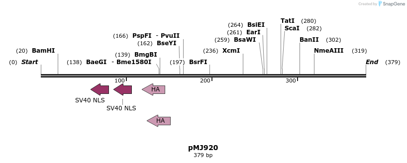 58179_map