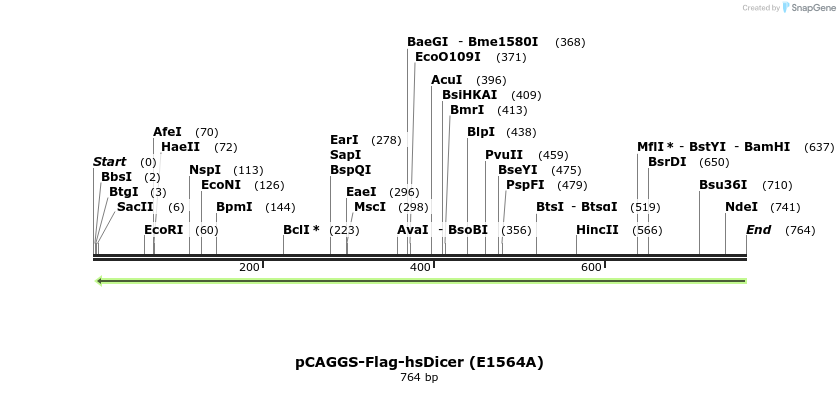58180_map