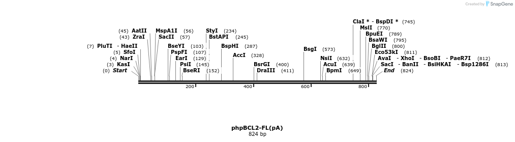 58181_map