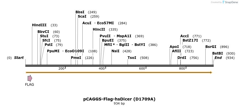 58182_map
