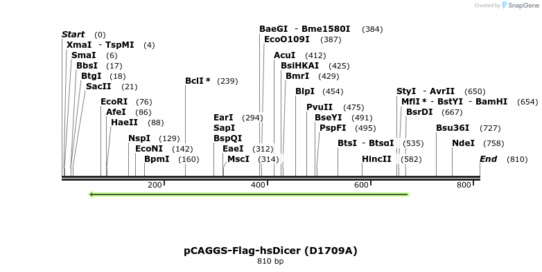 58185_map