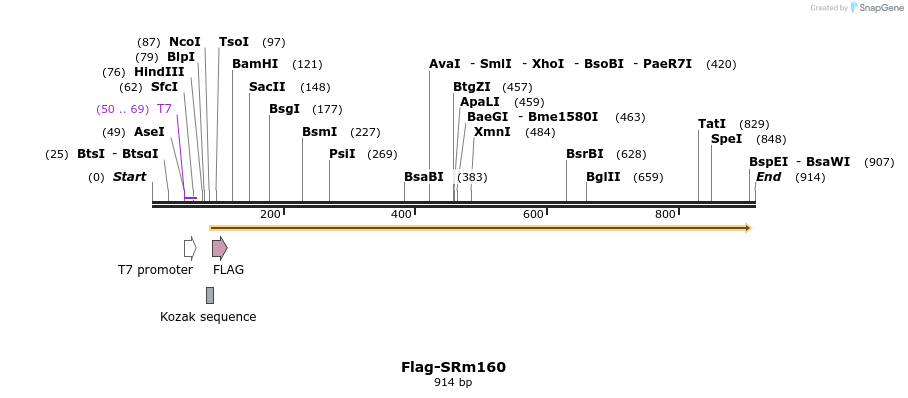 58186_map