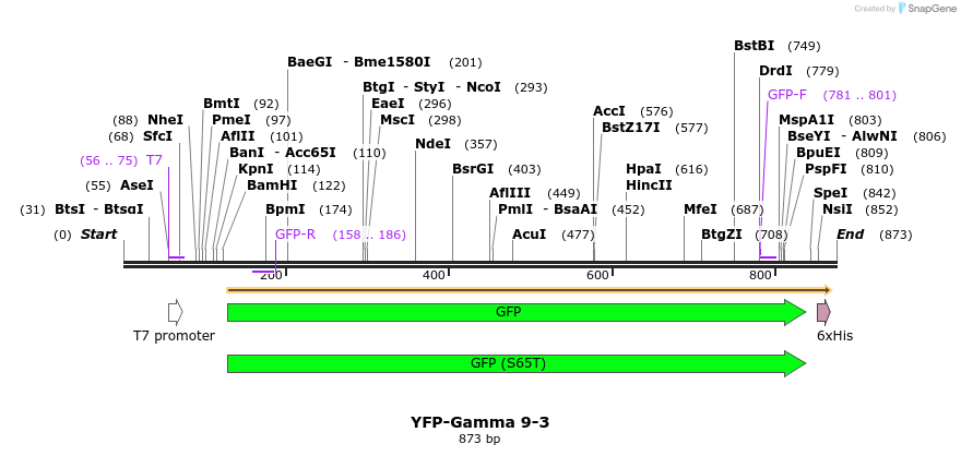 58194_map