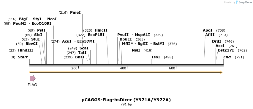 58197_map