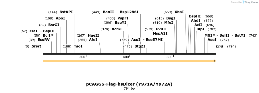 58199_map