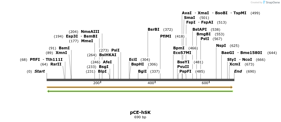 58200_map