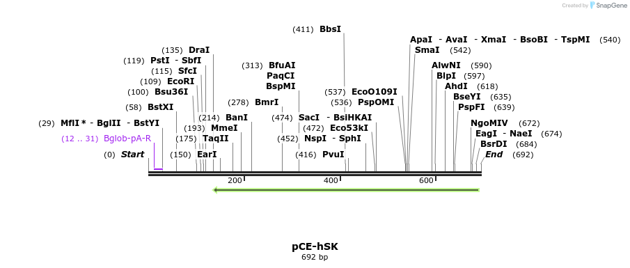 58201_map