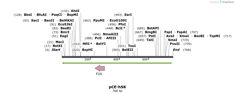 58202_map