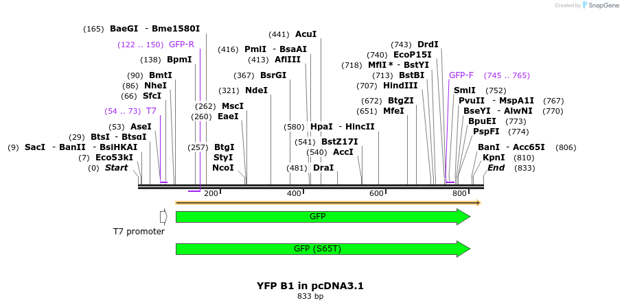 58203_map