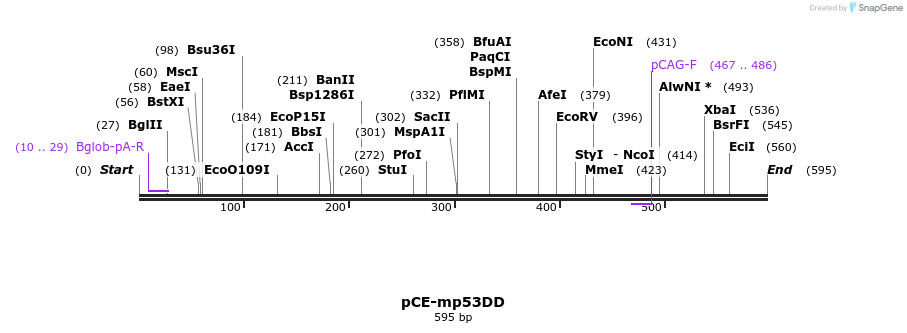 58205_map