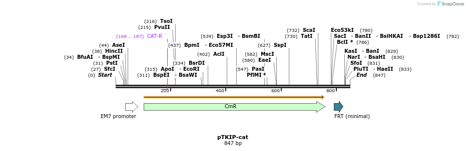 58206_map